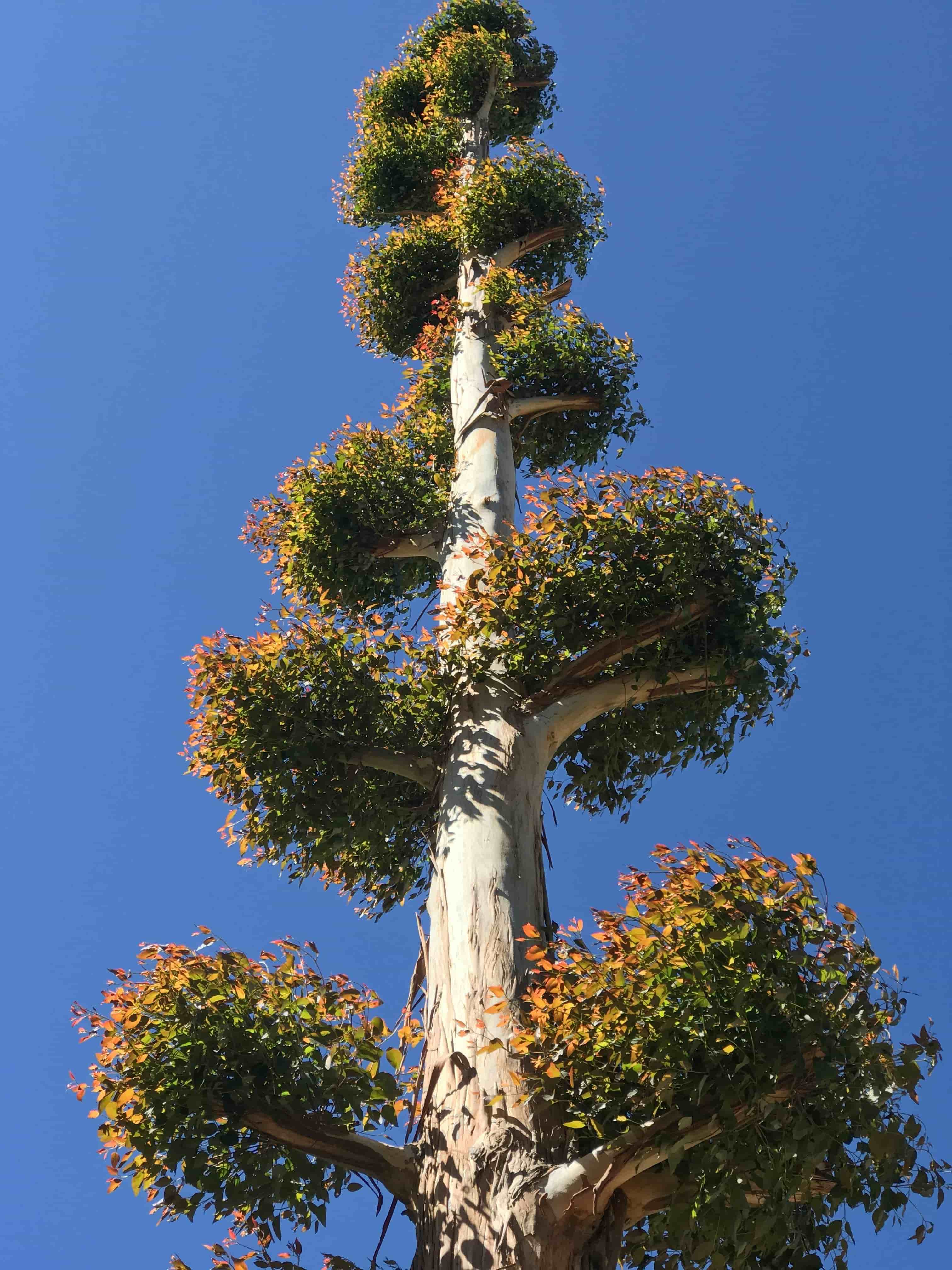 Nested Classes in Java Nested Classes in Java